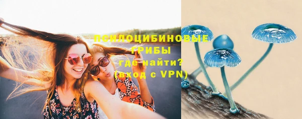 твердый Михайловск