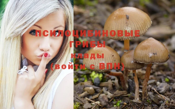 первитин Навашино