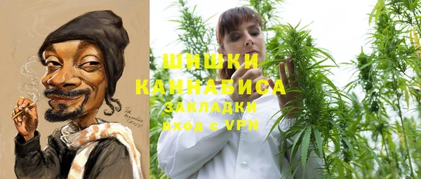 твердый Михайловск