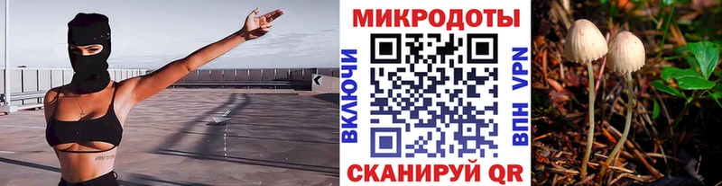 Псилоцибиновые грибы ЛСД  Челябинск 