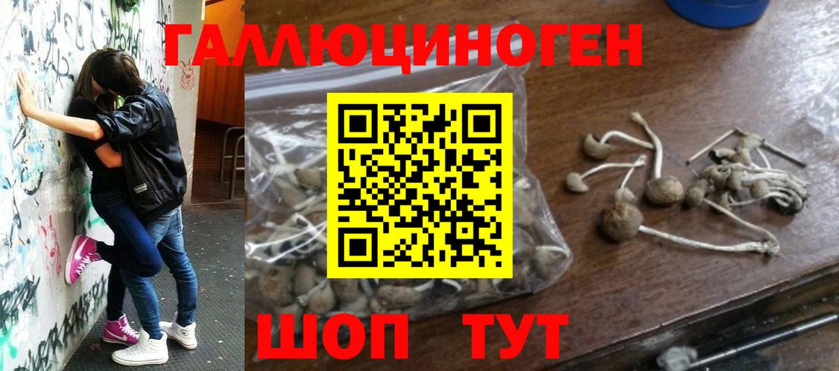 Галлюциногенные грибы Cubensis Челябинск