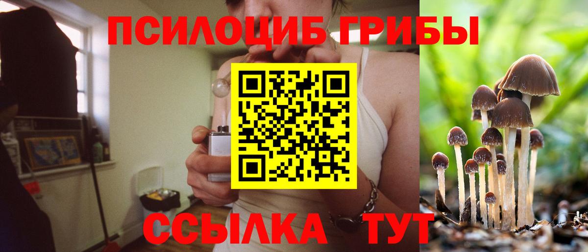 Челябинск  Галлюциногенные грибы мицелий  Вход с VPN 